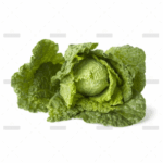 demo-attachment-166-Group-290